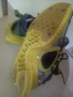 Nike дамски маратонки , снимка 5