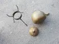 Стар туристически котлон , снимка 2