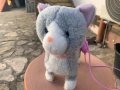 Ходещо коте, снимка 1