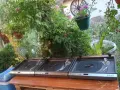 Optonica RP-5100 (Direct Drive)  (Full Automatic), снимка 2