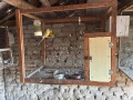 Продавам пойни папагали , снимка 6