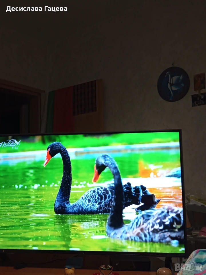 Телевизор LG QNED 43QNED84A3C, снимка 1