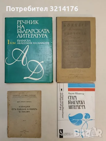 Стара българска литература. Как да разбираме литературната творба - Мария Шнитер