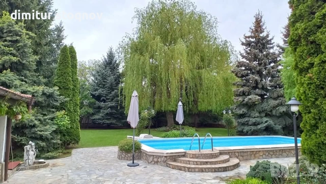 Озеленяване на дворове и градини