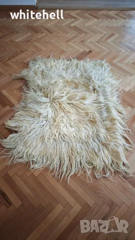 Бял Вълнен Китеник с дълъг косъм