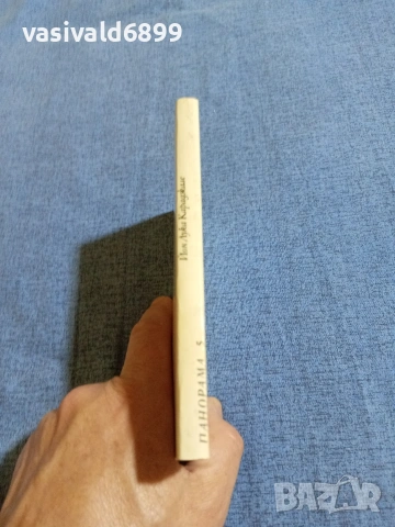 Йон Караджале - Веригата на слабостите , снимка 2 - Художествена литература - 54905557