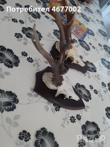 красиви сръндаци, снимка 3 - Антикварни и старинни предмети - 54317069