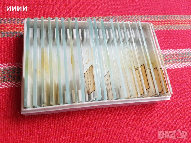 Микроскопски препарати, снимка 2 - Антикварни и старинни предмети - 54308854