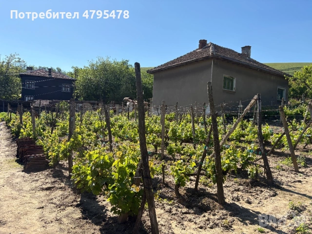 Продавам Къща с лятна кухня, двор и стопанска сграда , снимка 16 - Къщи - 54179017