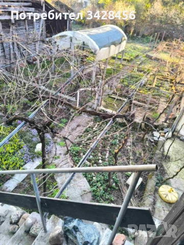 Продавам просторна къща с голям двор - гр. Димово, снимка 15 - Къщи - 54334908