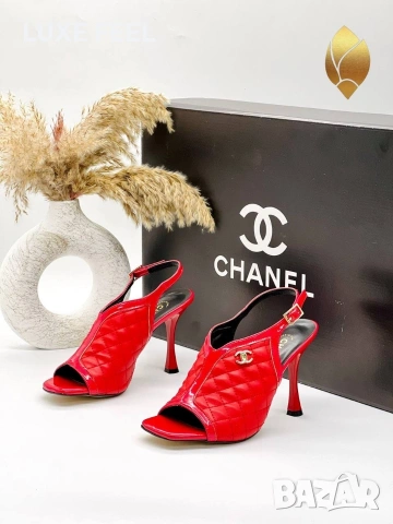 BALMAIN ⚜️ DOLCE GABANNA ⚜️ BALMAIN ⚜️