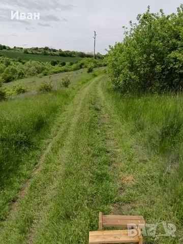 Продава имот със стара къща село Извор Софийско, снимка 10 - Къщи - 55535316
