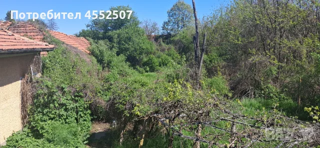 Къща в с. Александрово, снимка 6 - Къщи - 53704366