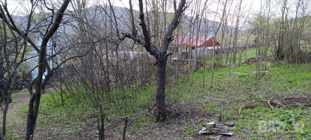 Продавам, Парцел, в махала Бодят, с. Петрич, общ. Златица, 350 кв.м., с виза, 15 000 Е, снимка 5 - Парцели - 53014043