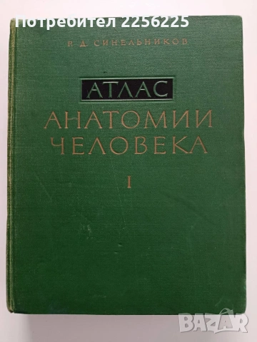 Атлас - Анатомии человека ( том 1)