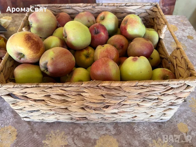 Ябълки за ракия