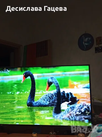 Телевизор LG QNED 43QNED84A3C