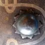 Индо-персийски щит., снимка 3