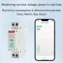 Монофазен WiFi електромер Tuya | Защита от пренапрежение 63A | Smart Home Alexa Google 10331, снимка 12