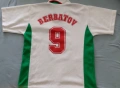 Екип Бербатов, снимка 2