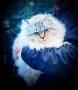 Невски маскарадни котенца , снимка 4