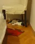 Прекрасна маца преживя много - търсим нов дом, снимка 13