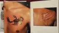 Мини-справочник Tattoos, снимка 14