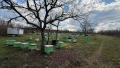 Продавам многокорпусни презимували пчелни семейства, снимка 1
