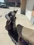 Vespa LX 125, 2005 г., 18 872 км + слюда и багажник, снимка 5