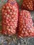 Продавам български лук , снимка 4