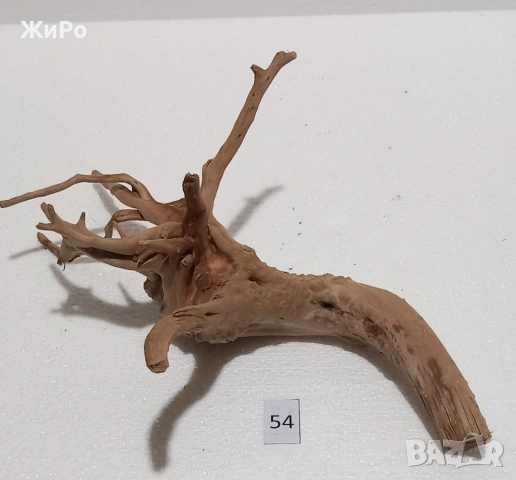 Корен от Азалия /декорация/ 54, снимка 3 - Други - 54102241