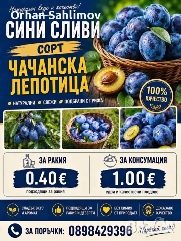 Сини сливи чачанска
