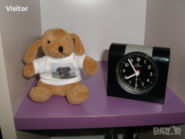 фотоапарат Samsung L70 Digital  , снимка 9 - Фотоапарати - 54254462