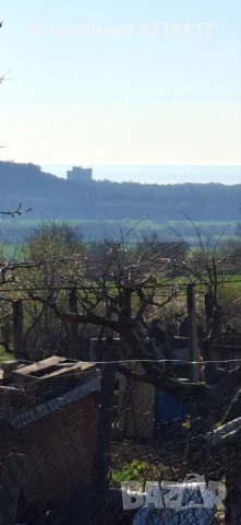 Собственик продава Дворно Място в с. Рогачево, снимка 5 - Парцели - 54112941