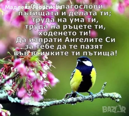 Дамски ежедневни обувки