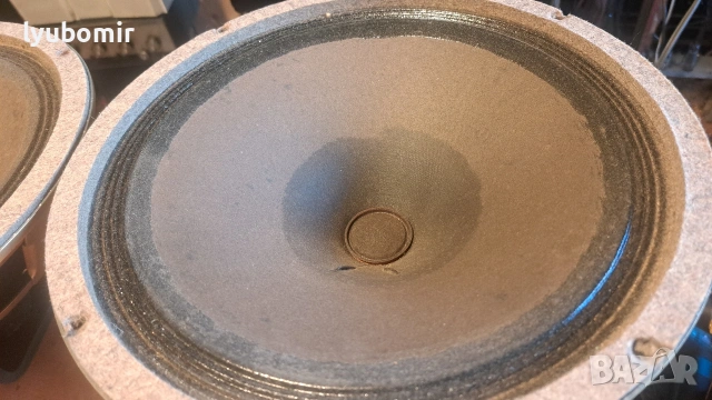 Echolette 12" Izopfon, снимка 3 - Тонколони - 54929812