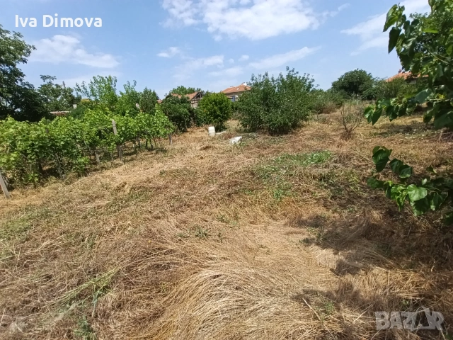 Къща с двор 1.5 дка, снимка 2 - Къщи - 55129264