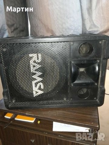 Panasonic Ramsa  WS-A200 