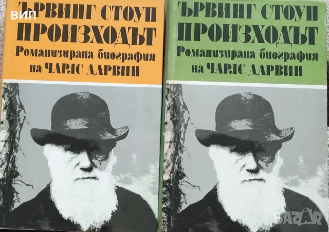 Ървинг Стоун-Произходът