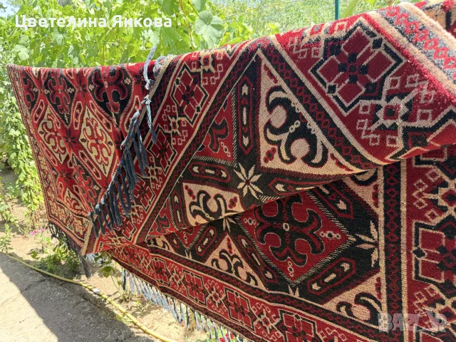 Вълнен килим 240/360см.