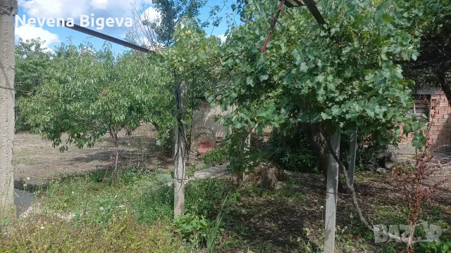продава се къща в с . Кесарево , снимка 4 - Къщи - 55416193