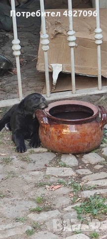 Запознанства