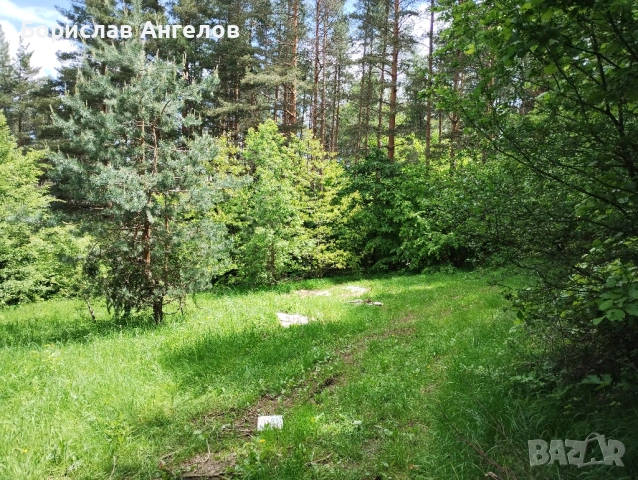 Продавам парцел, снимка 7 - Парцели - 54584029