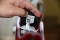 Adidas Adizero Оригинални Нови, размер 45 1/3, снимка 7