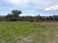 продавам имот в с.Горно Пещене общ.Враца, снимка 3