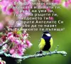 Дамски ежедневни обувки, снимка 1