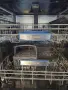 Свободностояща съдомиялна BOSCH EXCLUSIV шир.60см. 12комплекта А+++, снимка 9
