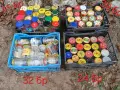 Буркани Омния и винтови, снимка 1