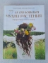 77 и половина чудни растения. Народна вяра, магия и лечение, снимка 1