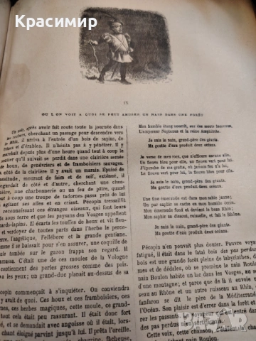 VICTOR HUGO. LE RHIN. ТИРАЖ 160 бр.1892 г. , снимка 13 - Колекции - 54655263